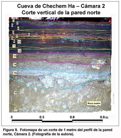 Figura 9. Fotomapa de un corte de 1 metro del Perfil de la Pared Norte, Cámara 2. (Fotografía de la autora). Haga clic sobre la imagen para agrandar.