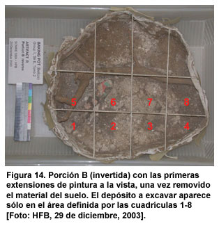 Figura 14. Porci&oacute;n B (invertida) con las primeras extensiones de pintura a la vista, una vez removido el material del suelo. El dep&oacute;sito a excavar aparece s&oacute;lo en el &aacute;rea definida por las cuadr&iacute;culas 1-8 [Foto: HFB, 29 de diciembre, 2003].
