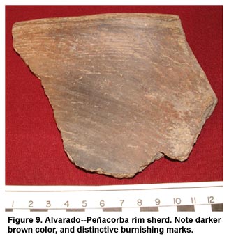 Figure 9. AlvaradoPeñacorba rim sherd. Note darker brown color, and distinctive burnishing marks.