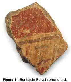 Figure 11. Bonifacio Polychrome sherd.