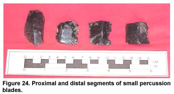 Figure 24. Proximal and distal segments of small percussion blades.