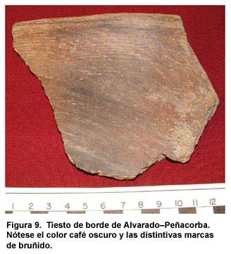Figura 9. Tiesto de borde de AlvaradoPeñacorba. Nótese el color café oscuro y las distintivas marcas de bruñido.