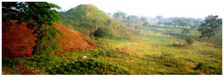Figure 2. View of mounds and dry lagoon (at the right of the tall mound). The site's name, Laguna de los Cerros, derives from the presence of this lagoon and the large prehispanic buildings locally known as "cerros" (hills). Figure 2. View of mounds and dry lagoon (at the right of the tall mound). The site's name, Laguna de los Cerros, derives from the presence of this lagoon and the large prehispanic buildings locally known as "cerros" (hills).