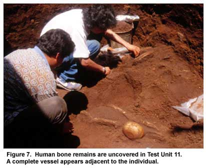 Figure 7. Human bone remains are uncovered in Test Unit 11. A complete vessel appears adjacent to the individual. Figure 7. Human bone remains are uncovered in Test Unit 11. A complete vessel appears adjacent to the individual.