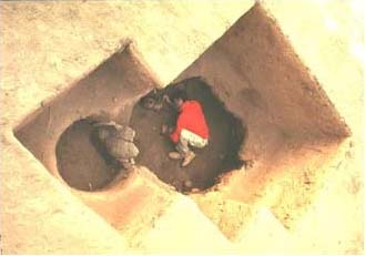 Figure 20. Excavation of the jaguar vessel on the floor of the shaft-and-chamber tomb, Pit #2, Feature #1.