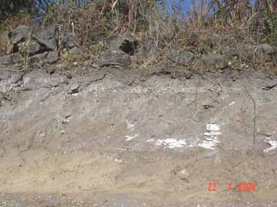 Figure 9. CZ-116. Profile showing a house foundation.