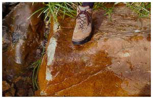 Figure 4. Jadeite boulder, Río La Palmilla, note heavy orange rind on boulder. Figure 4. Jadeite boulder, Río La Palmilla, note heavy orange rind on boulder.