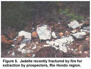 Figure 5. Jadeite recently fractured by fire for extraction by prospectors, Río Hondo region. Figure 5. Jadeite recently fractured by fire for extraction by prospectors, Río Hondo region.