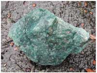 Figure 8. Blue jadeite from Quebrada Seca (length, 15 cm.).