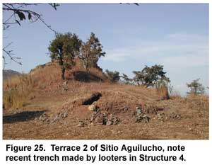Figure 25. Terrace 2 of Sitio Aguilucho, note recent trench made by looters in Structure 4.