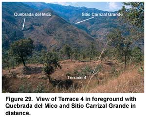 Figure 29. View of Terrace 4 in foreground with Quebrada del Mico and Sitio Carrizal Grande in distance. Figure 29. View of Terrace 4 in foreground with Quebrada del Mico and Sitio Carrizal Grande in distance.
