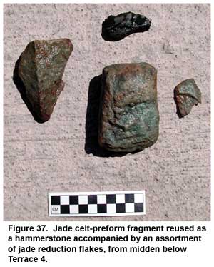 Figure 37. Jade celt-preform fragment reused as a hammerstone accompanied by an assortment of jade reduction flakes, from midden below Terrace 4. Figure 37. Jade celt-preform fragment reused as a hammerstone accompanied by an assortment of jade reduction flakes, from midden below Terrace 4.