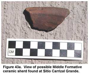 Figure 43a. View of possible Middle Formative ceramic sherd found at Sitio Carrizal Grande. Figure 43a. View of possible Middle Formative ceramic sherd found at Sitio Carrizal Grande.