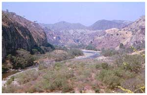 Link to Figure 51a. View of Motagua River near Mixco Viejo. Link to Figure 51a. View of Motagua River near Mixco Viejo.