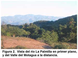 Figura 2. Vista del río La Palmilla en primer plano, y del Valle del Motagua a la distancia. Figura 2. Vista del río La Palmilla en primer plano, y del Valle del Motagua a la distancia.