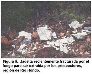 Figura 5. Jadeíta recientemente fracturada por el fuego para ser extraída por los prospectores, región de Río Hondo. Figura 5. Jadeíta recientemente fracturada por el fuego para ser extraída por los prospectores, región de Río Hondo.