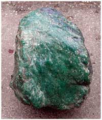 Figura 7. Nódulo de jadeíta de la región de Carrizal Grande en la Quebrada del Silencio (largo, 13 cm). Figura 7. Nódulo de jadeíta de la región de Carrizal Grande en la Quebrada del Silencio (largo, 13 cm).