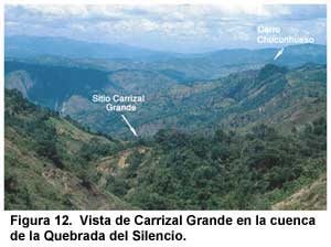 Figura 12. Vista de Carrizal Grande en la cuenca de la Quebrada del Silencio. Figura 12. Vista de Carrizal Grande en la cuenca de la Quebrada del Silencio.