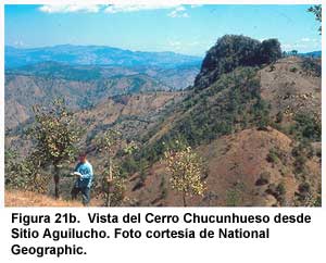 Figura 21b. Vista del Cerro Chucunhueso desde Sitio Aguilucho. Figura 21b. Vista del Cerro Chucunhueso desde Sitio Aguilucho.
