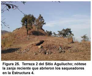 Figura 25. Terraza 2 del Sitio Aguilucho; nótese la zanja reciente que abrieron los saqueadores en la Estructura 4. Figura 25. Terraza 2 del Sitio Aguilucho; nótese la zanja reciente que abrieron los saqueadores en la Estructura 4.