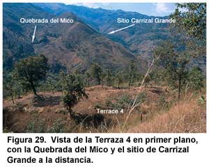 Figura 29. Vista de la Terraza 4 en primer plano, con la Quebrada del Mico y el sitio de Carrizal Grande a la distancia.