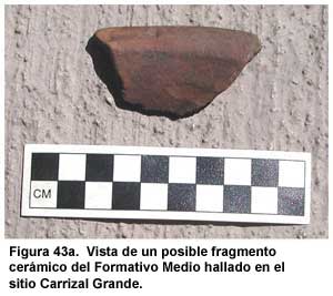 Figura 43a. Vista de un posible fragmento cer&aacute;mico del Formativo Medio hallado en el sitio Carrizal Grande.