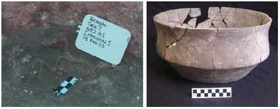 Figura 8. Restos de perro encontrados en el Formaci&oacute;n 5 y la vasija gris casi completa que se encontr&oacute; cerca.