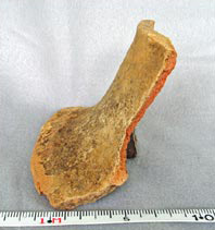 Figure 34e. Purpose-made potstand, extensively discolored, with baked-on clay, PVN 202 (Las Canoas).