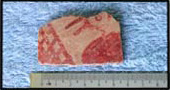 Figure 36a. Examples of red-on-natural ceramics made at Canoas: Monte Grande red-on-natural with typical bird design.
