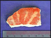 Figure 36b. Monte Grande with shoulder stripes.