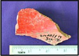 Figure 36j. Jocomico incised neck and shoulder interior.