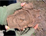 Figure 37d. Mold for modeled incensario face, 2004 season.