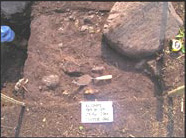 Figure 43a. Ore Crushing area: rock with depressions, ore to left of rock, maul left of trowel.