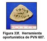 Figura 33f. Herramienta oportunística de PVN 607.