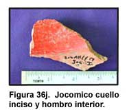 Figura 36j. Jocomico cuello inciso y hombro interior.