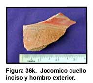 Figura 36k. Jocomico cuello inciso y hombro exterior.