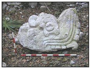 Figure 4. Serpent head.