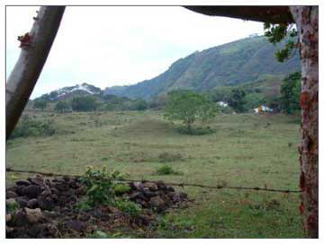 Figure 5: Field A (Itzcuintli Complex), looking west from Muros. Figure 5: Field A (Itzcuintli Complex), looking west from Muros.