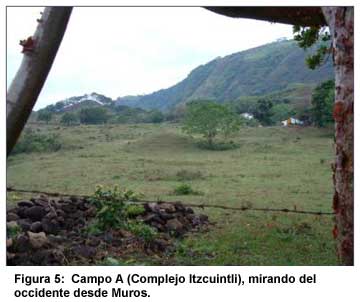 Figura 5: Campo A (Complejo Itzcuintli), mirando del occidente desde Muros. Figura 5: Campo A (Complejo Itzcuintli), mirando del occidente desde Muros.
