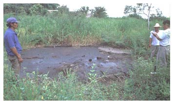 Figure 5. Bitumen seepage at Emilio Carranza.
