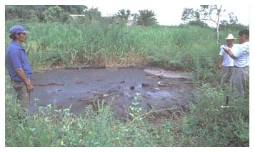 Figure 5. Bitumen seepage at Emilio Carranza.