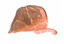 Figure 38. Digital positive of the mold, Museo Pr&iacute;ncipe Maya.