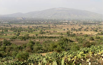 Figure 15. General view of the Teotihuacán Valley from the slopes of the Patlachique mountain. Cerro Gordo and pyramids in the background, Site 520 at the center of the photo.