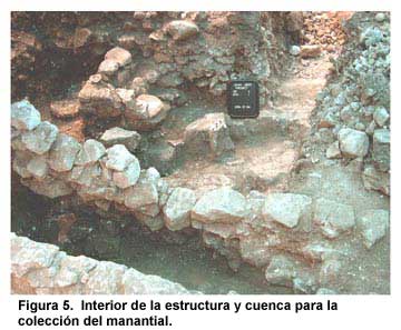 Figura 5. Interior de la estructura y cuenca para la colección del manantial.
