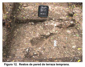 Figura 12. Restos de pared de terraza temprana.