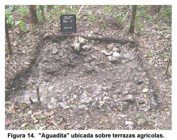 Figura 14. "Aguadita" ubicada sobre terrazas agrícolas.