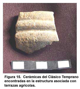 Figura 15. Cerámicas del Clásico Temprano encontradas en la estructura asociada con terrazas agrícolas.