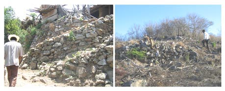 Figura 6. Terrazas domésticas nuevas y viejas en la aldea de Zapotitlan (izquierda) y en el sitio arqueológico de Cerro Venado (derecha). Las técnicas y materiales de construcción son básicamente los mismos.