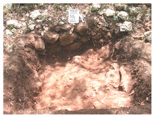 Photograph 2. Excavation to bedrock in Operation 10/1/7.