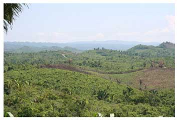 Figure 16: Photograph of the view from Group G to the north and towards the foothills of the Maya Mountains. Photo by K. Prufer.